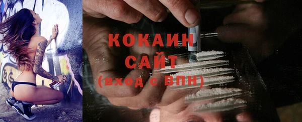 прущие грибы Абинск