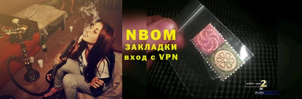 прущие грибы Абинск