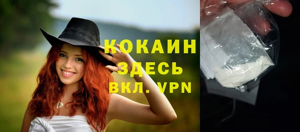 прущие грибы Абинск