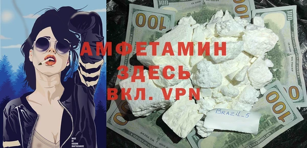 прущие грибы Абинск