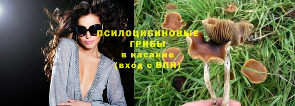 МДПВ Алзамай