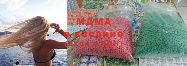 прущие грибы Абинск