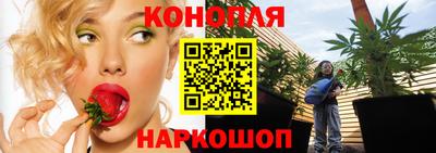 сатива Комсомольск-на-Амуре