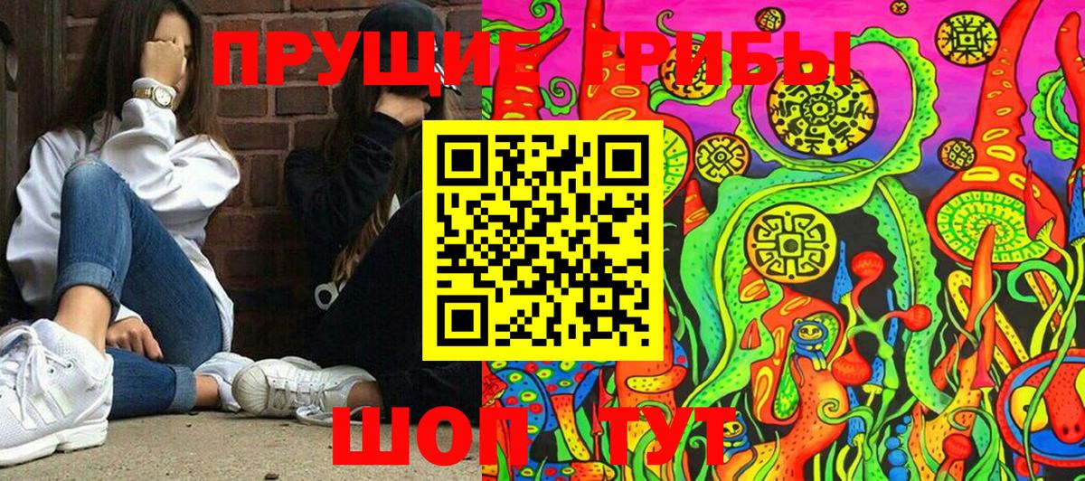 Котлас  Псилоцибиновые грибы GOLDEN TEACHER  Вход с VPN  Псилоцибиновые грибы Psilocybine cubensis 