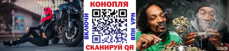магазин продажи наркотиков  Котлас  МАРИХУАНА Amnesia 